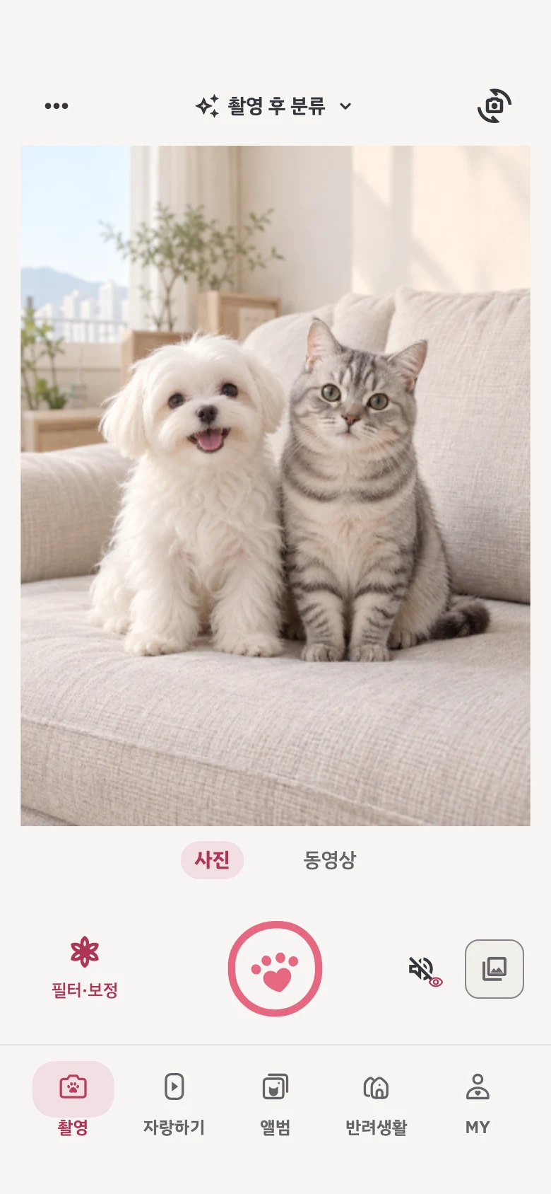 미미뽀뽀 촬영 화면 예시. 강아지와 고양이가 소파에 앉아 있고 아래에 발바닥 셔터가 있어요.